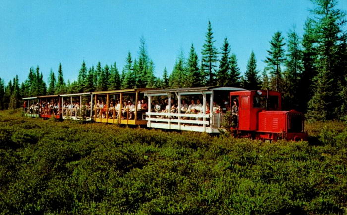 Toonerville Trolley - Old Postcard View (newer photo)